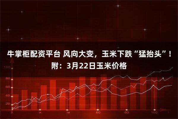 牛掌柜配资平台 风向大变，玉米下跌“猛抬头”！附：3月22日玉米价格